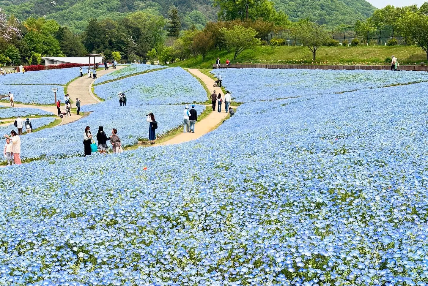 先日のインスタライブにご参加いただき