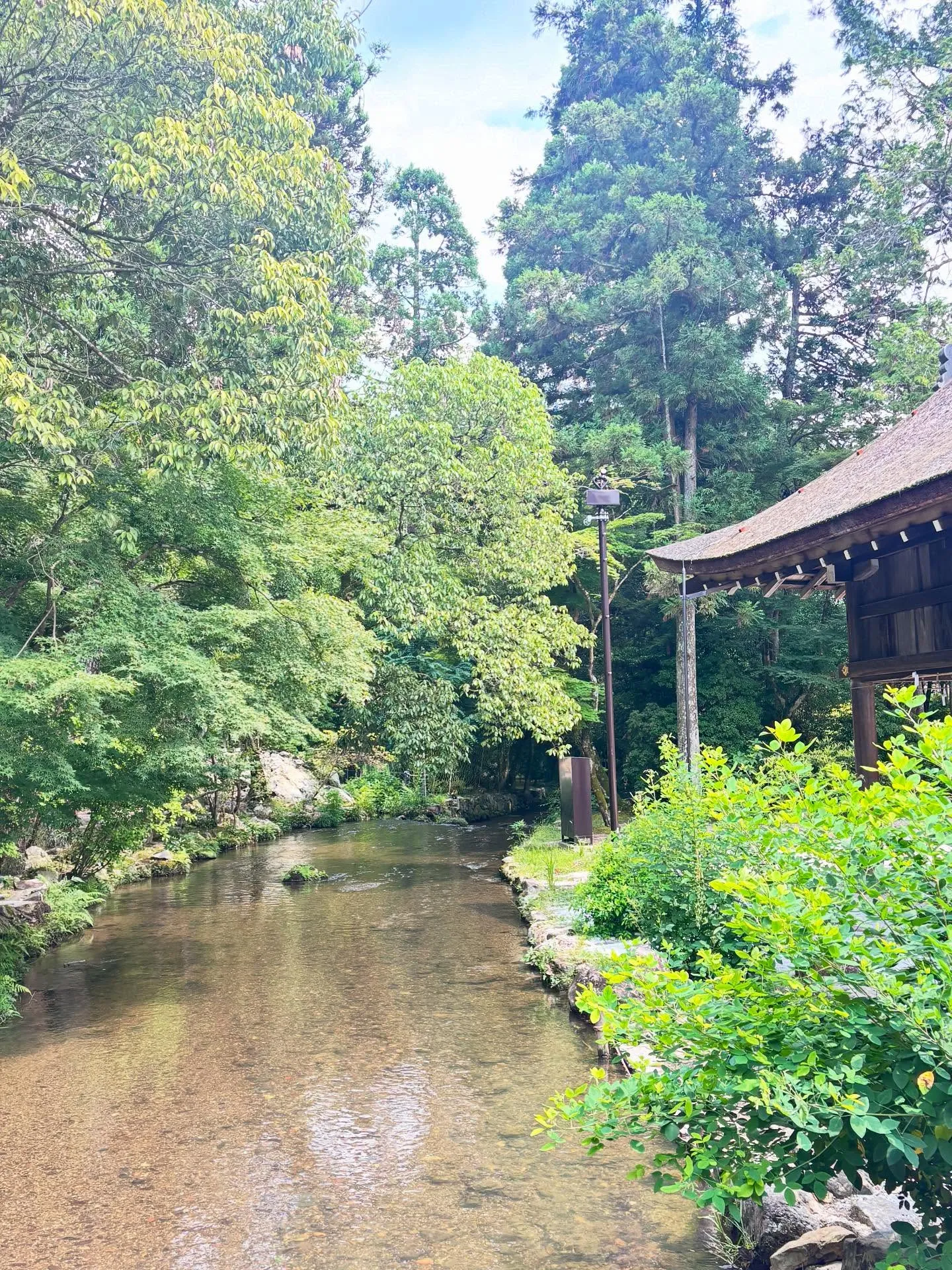 ふと寂しくなる