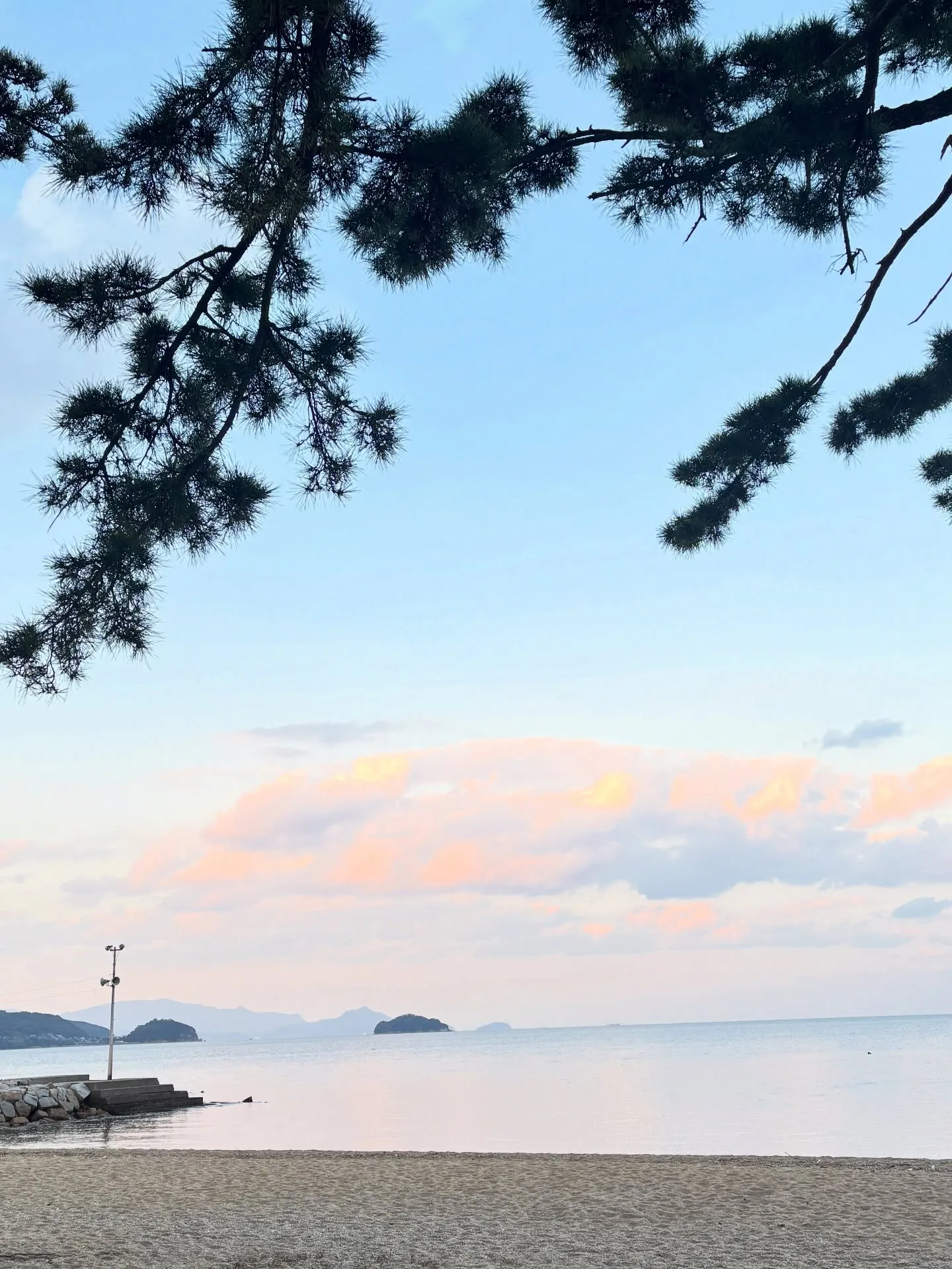 わたしが追い求める「美しさ」とは