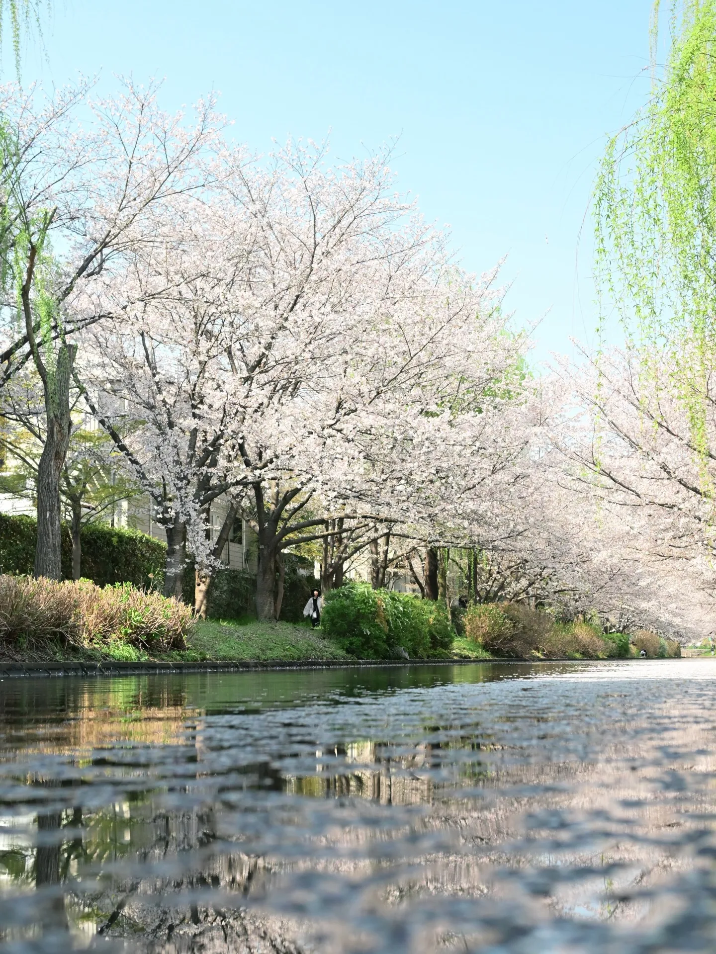 【 腹が立つ 】