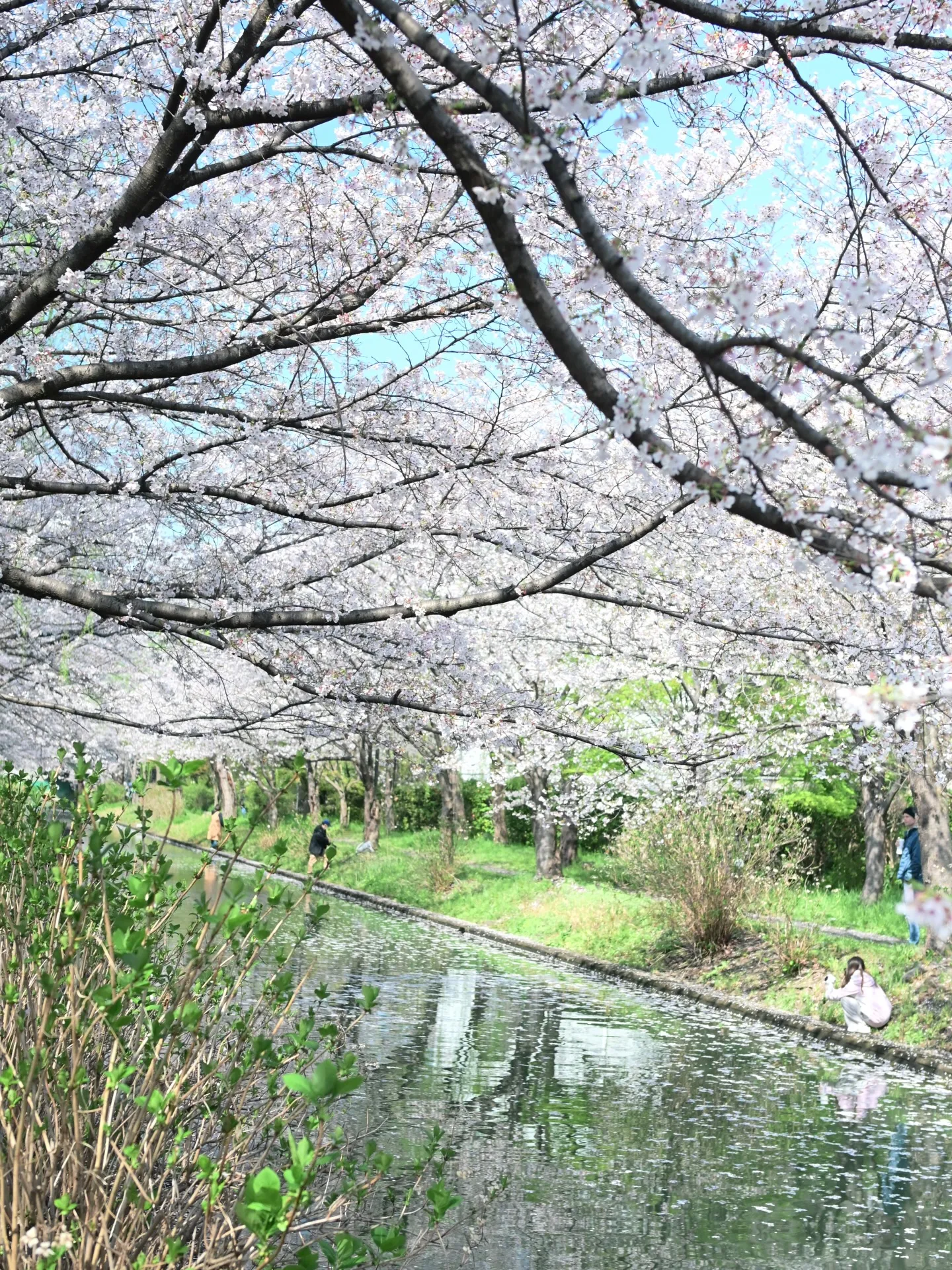 【 腹が立つ 】