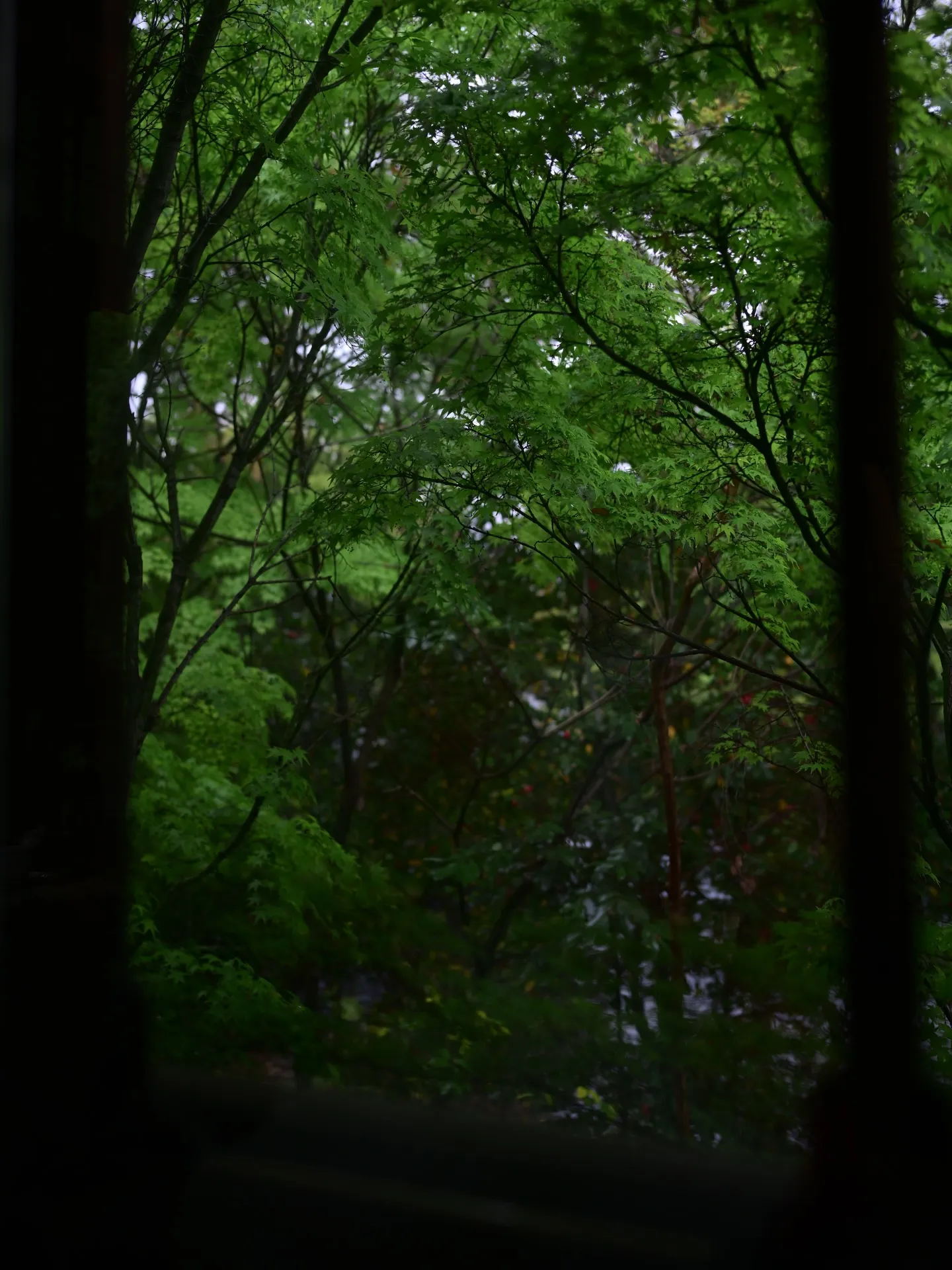 自分を偽わらないで生きている人の周りには