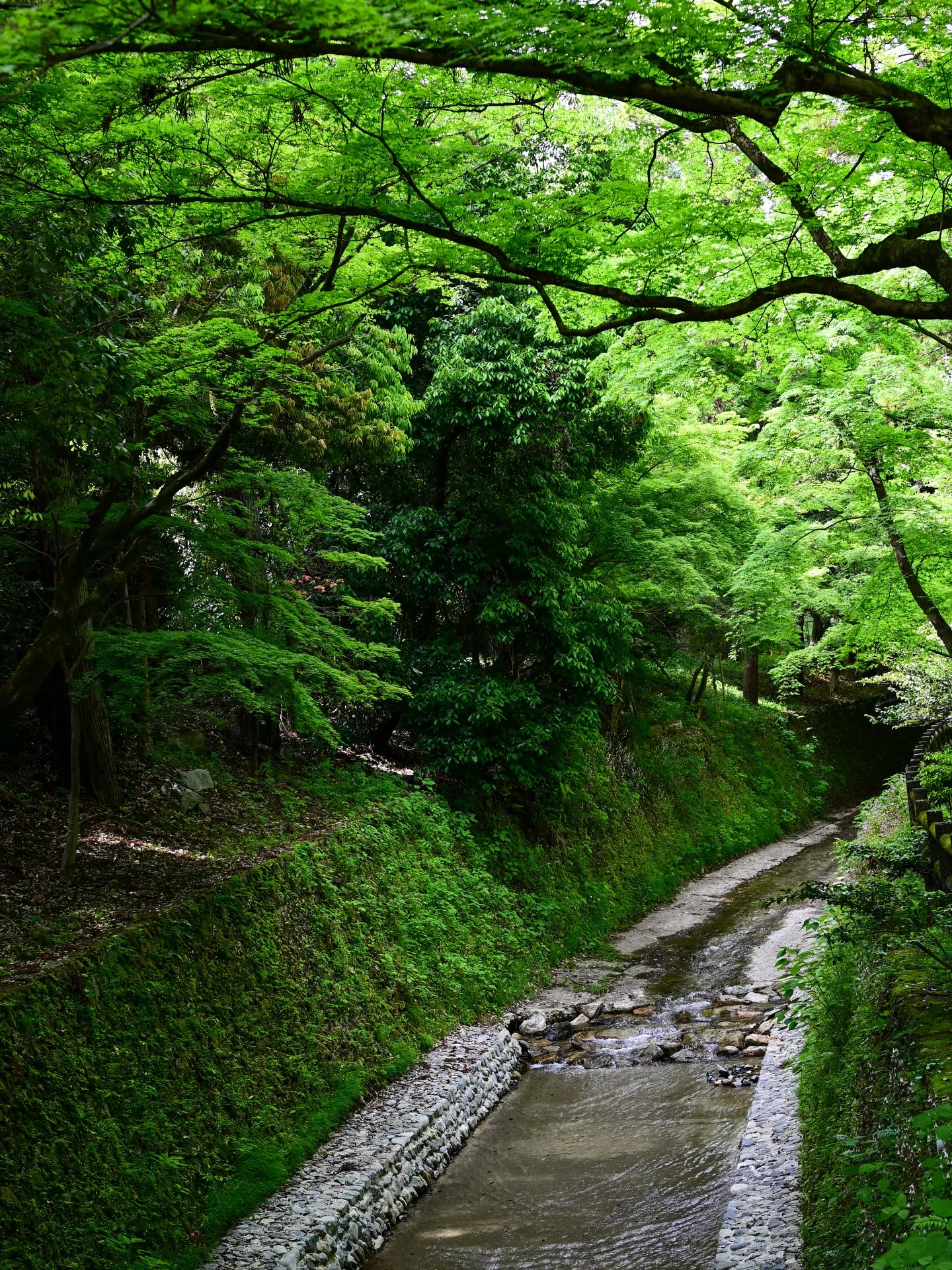 『今、目の前に現れている現実が