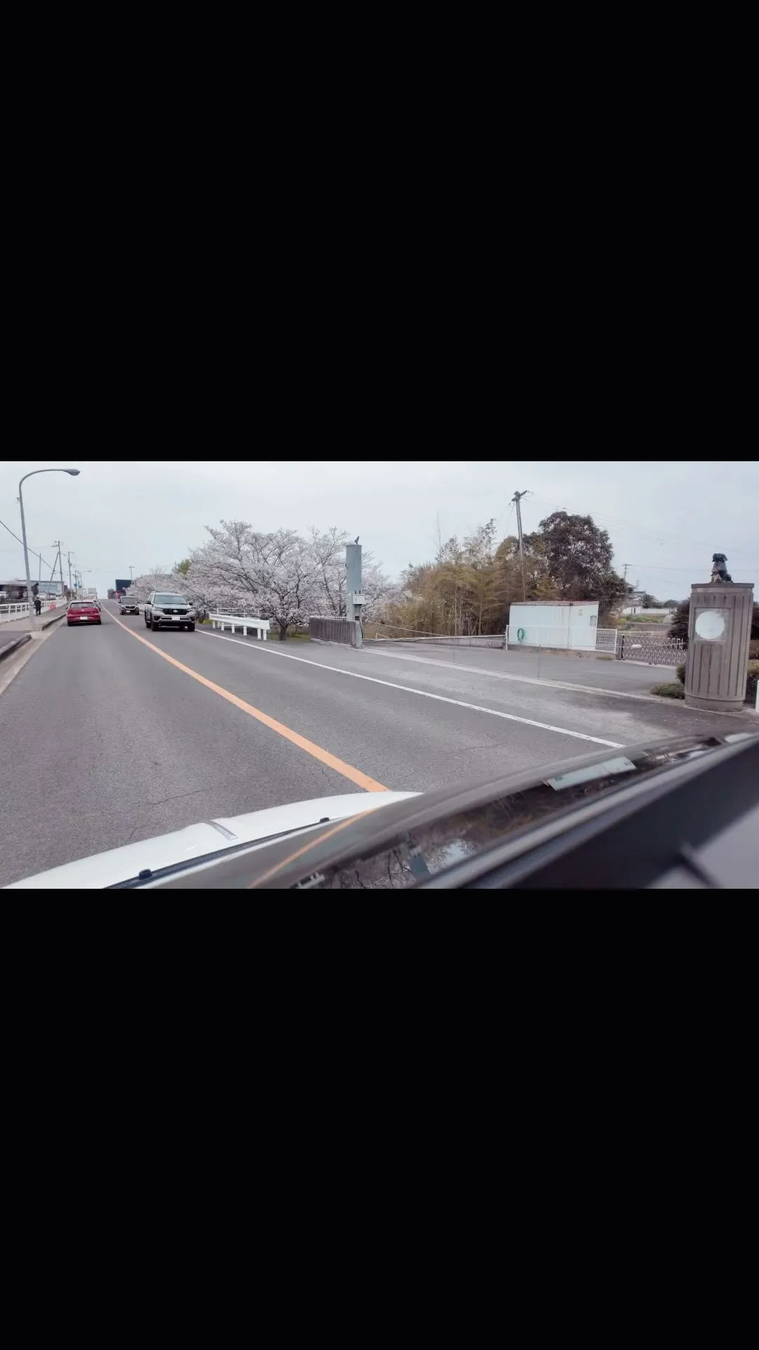 いつも通る道が