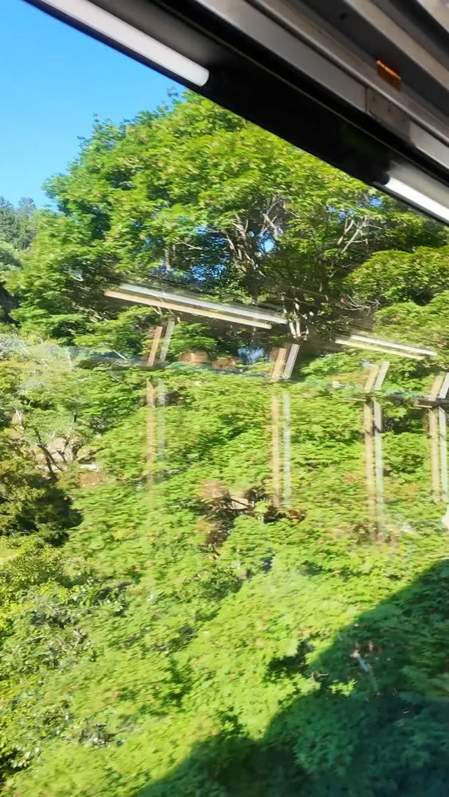 【鞍馬寺 ウエサク祭 Vlog】